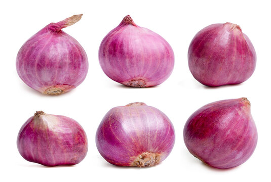 Set Purple onions herb on white background.