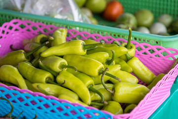 Pile of green hot chilli pepper in fresh market. Green pepper healthy food.  a pile of green chili pepper in harvest season placed in a market or bazaar for sale