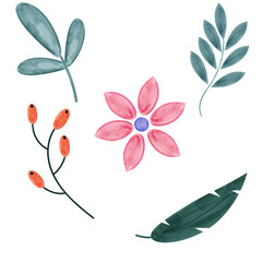 Watercolour leaves, flower.
