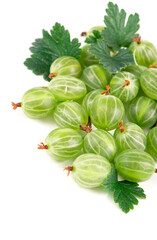 Fototapeta premium organic food, healthy food, green gooseberry fruits with leaf on white