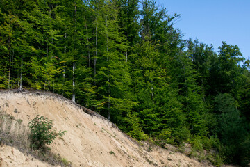 The hill of the vineyard, Rohia 1