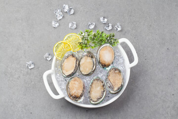 전복,해산물,바다