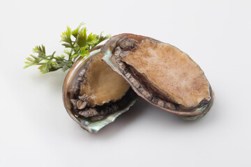 전복,해산물,바다