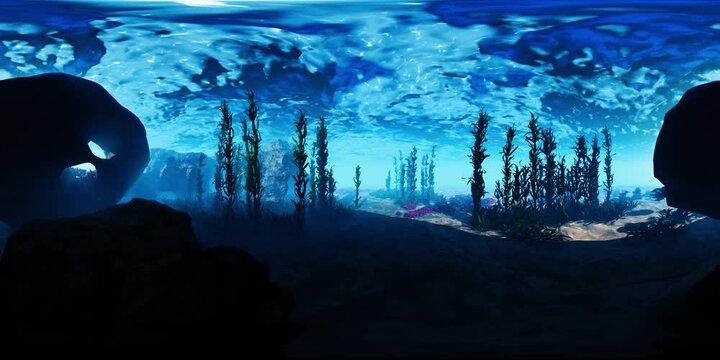 VR360 bottom of the ocean