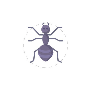 Ant flat icon. Ant clipart on white background.