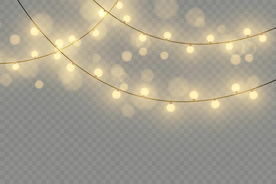 String Lights Transparent Background Images – Browse 15,215 Stock Photos,  Vectors, and Video | Adobe Stock