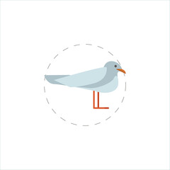 seagull flat icon. seagull clipart on white background.
