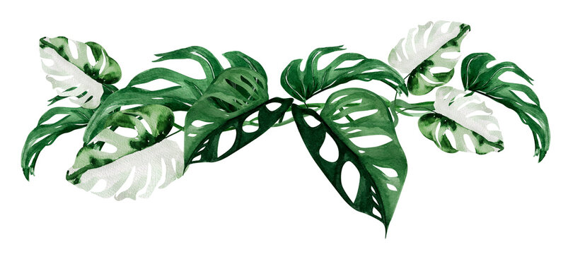 Monstera leaves watercolor border frame. Template for decorating designs and illustrations.	
