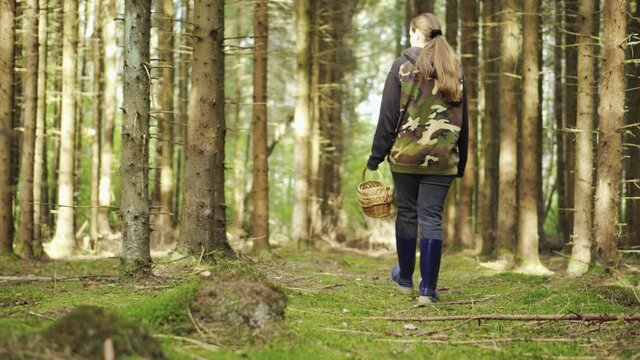 A girl in a camouflage jacket walks through the woods with a basket. Looking for mushrooms.