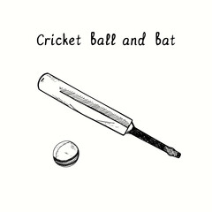 Cricket ball and bat. Ink black and white doodle drawing in woodcut style.