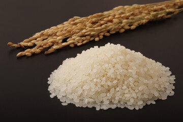 米と稲穂