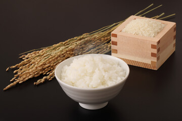 米と稲穂