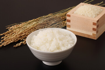 米と稲穂