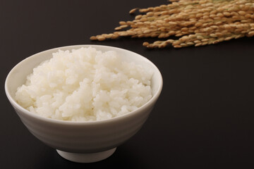 米と稲穂