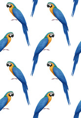 Obraz premium Seamless Pattern with hand-drawn Parrot, digitally colored, vector