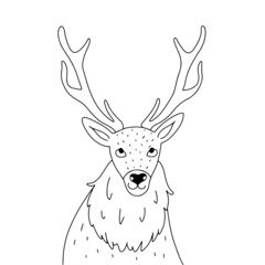 Hand drawn linear deer, drawn in outlined doodle style, isolated on white background vector illustration