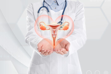 Doctor demonstrating virtual icon with illustration of female reproductive system on light...