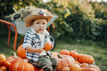 A little cowboy boy in a hat and a plaid shirt is sitting on a pile of pumpkins in the garden and holding a small pumpkin in his hands. Autumn, the time of harvest