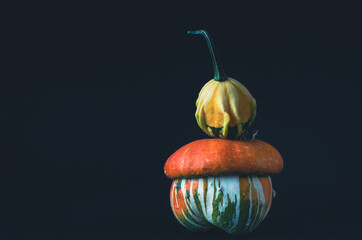 Autumn still life with weird and beautiful pumpkins on black background with copy space. Concept: fall harvest, Halloween