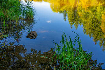 Colorful lake water with reflections of the autumn's colors