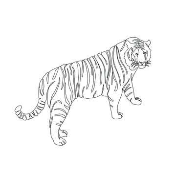The tiger is a symbol of 2022. Vector illustration made in one line. Suitable for the design of greeting cards for the new year, websites and typography on the theme of the holiday and animals 