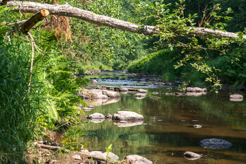 waterfall in the park