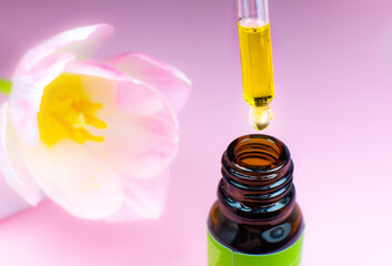Pink tulip near the Bottle of cosmetic oil with a pipette on a pink background. Close up liquid drop dripping. Beauty, medicine and  health care concept. Macro photo. Natural, eco cosmetics.