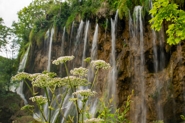waterfall by the Plitvička jezera
