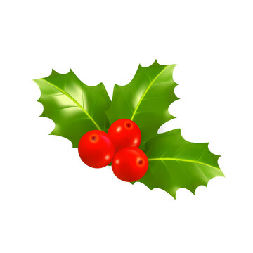 Christmas holly berries. Decoration for New Year and Christmas isolated on white background. Realistic vector illustration