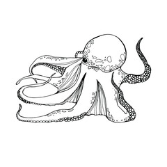 Octopus. Antistress. Coloring book for children and adults. Isolate on white. For textile, design, coloring, print. Stock illustration.  - 461731793