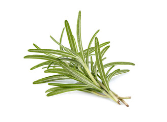 Fototapeta premium Rosemary fresh isolated on white background. Spice closeup.