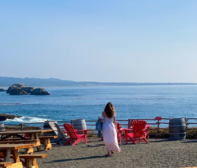 Wine Tasting at Mendocino Coastline II