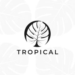 Tropical plant leaves logo. Monstera leaves logo design. Vector illustrations.