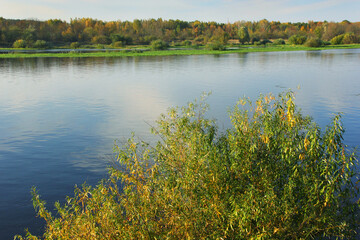 landscape of the river in autumn