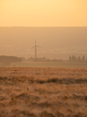 Country landscape on wheat field at sunset