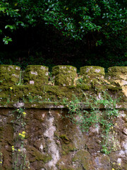 old stone wall with ivy