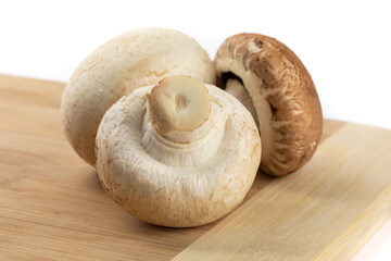 close up view of three cultivated mushrooms, white and brown, isolated on white
