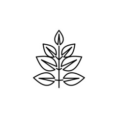leaf Icon