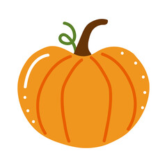 autumn pumpkin vegetable