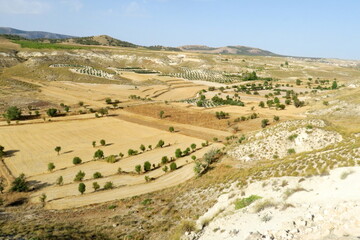 Fototapeta premium Paysage agricole. Champs et arbres vis du ciel. Andalousie. Espagne.