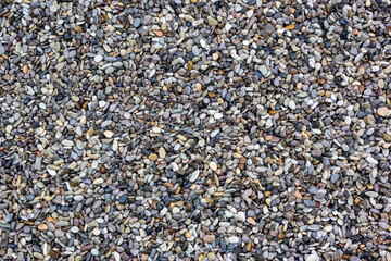 Shiny Wet Multicolored Pebbles on Beach. Natural background pebbles beach, dark wet pebble and gray dry pebble