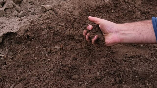 Caucasian Male Farmer Checking Quality of Brown Fertile Soil with Bare Hand