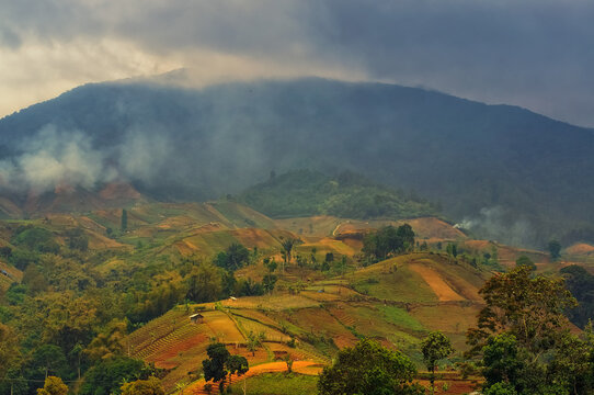 morning in the mountain