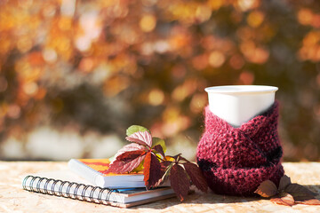 A cup of coffee is wrapped in a burgundy woolen scarf. Notepads and autumn leaves lie on a wooden surface. Natural background of garden trees. Bright and sunny. Bokeh.