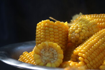 Fresh and Tasty Indian Corn. Food Photography.