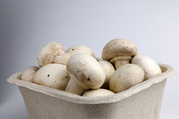 champignons mushrooms in cardboard pack on a light background