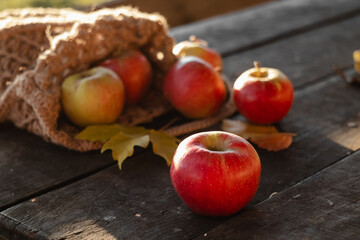 Red apples in a knitted bag on a wooden table in the autumn garden garden.