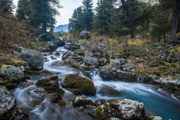 autumn landscape with stream of Altai valley