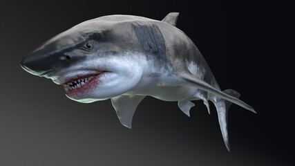 MEGALADON BPR Render, of background. 3d rendering © racksuz