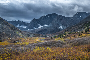 forbs on the plain against the background of mountain peaks and gloomy clouds